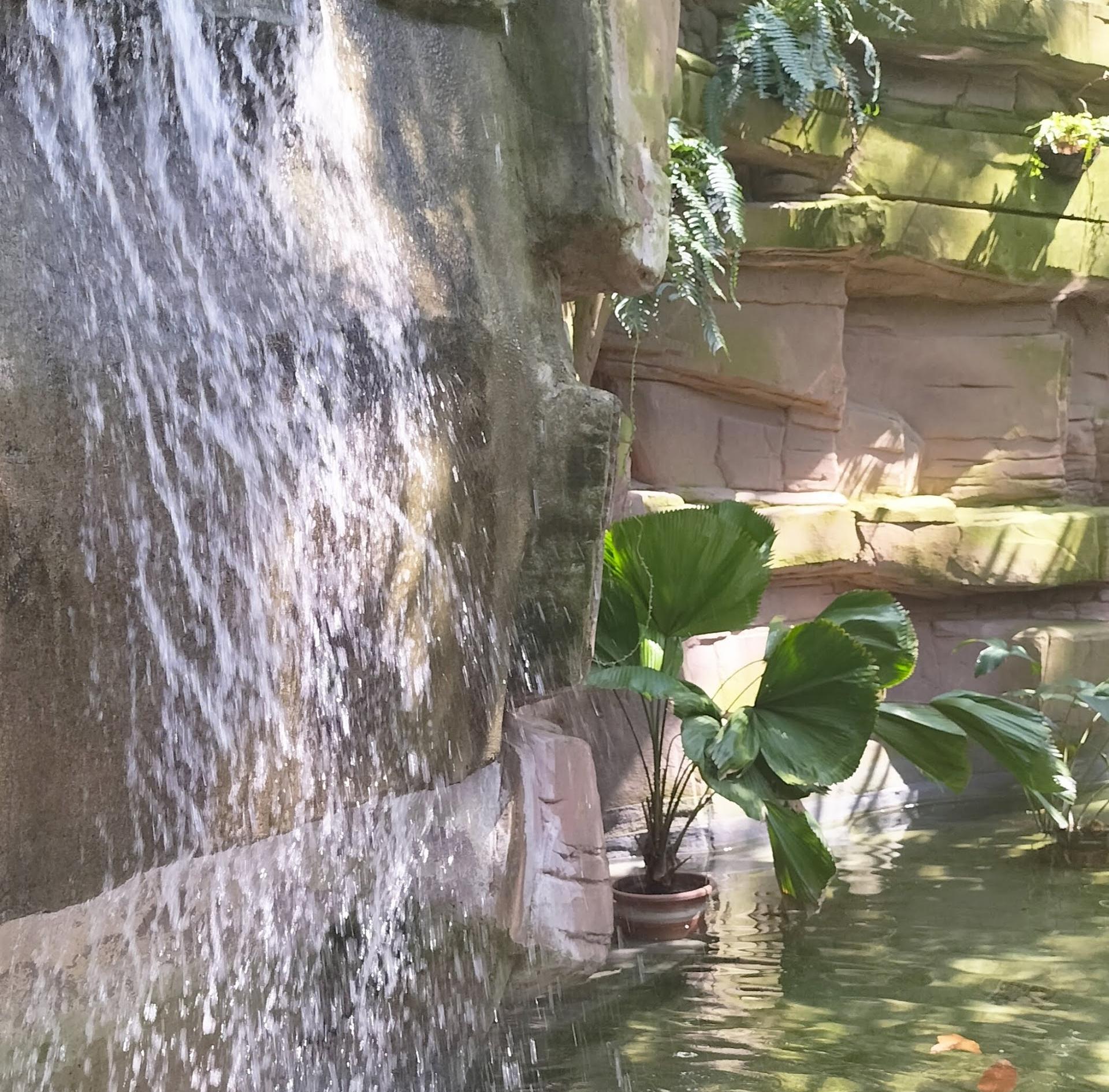 Botanical Garden and Botanical Museum
