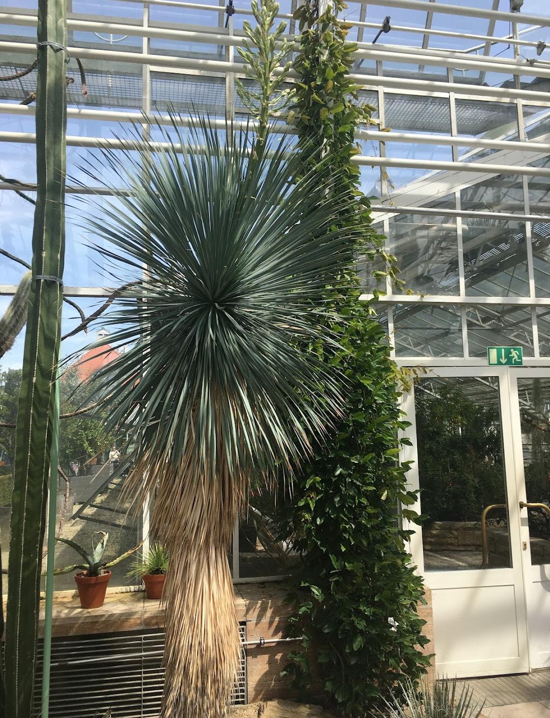 Botanical Garden Munich-Nymphenburg