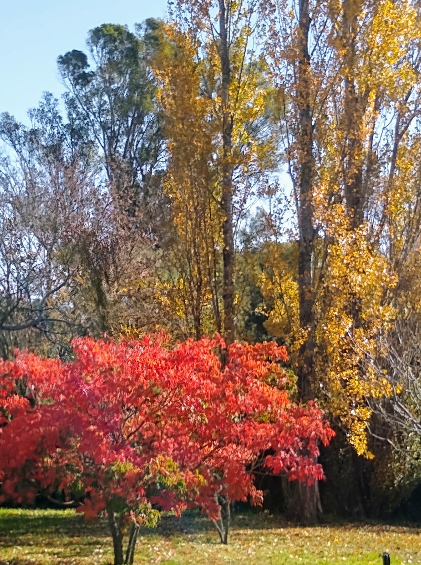 Estancia San Juan