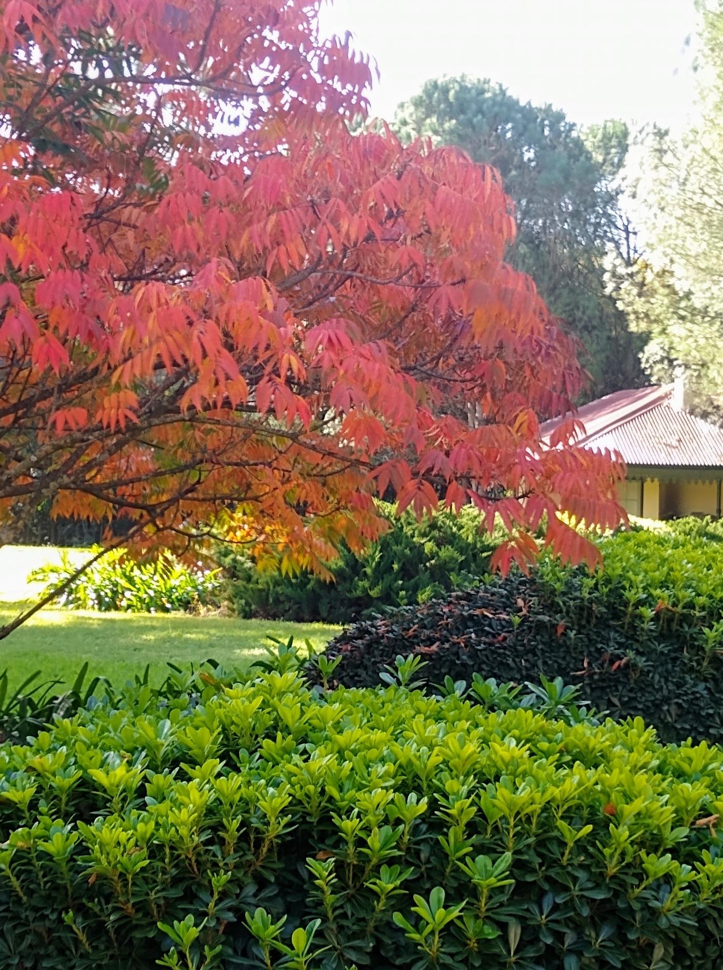 Estancia San Juan