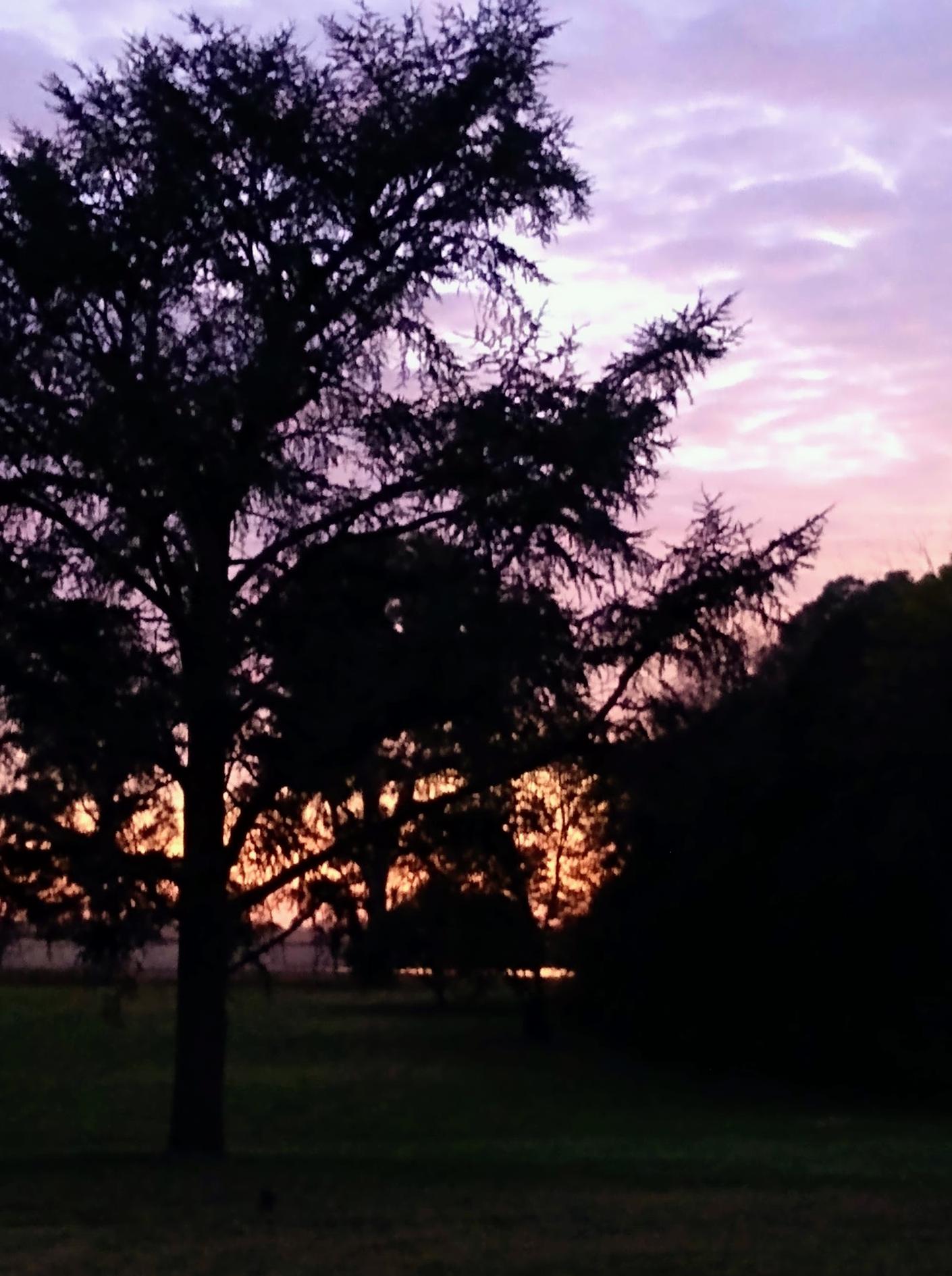 Estancia San Juan