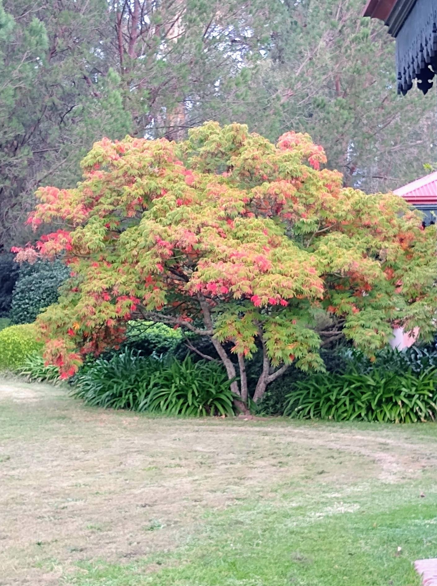 Estancia San Juan