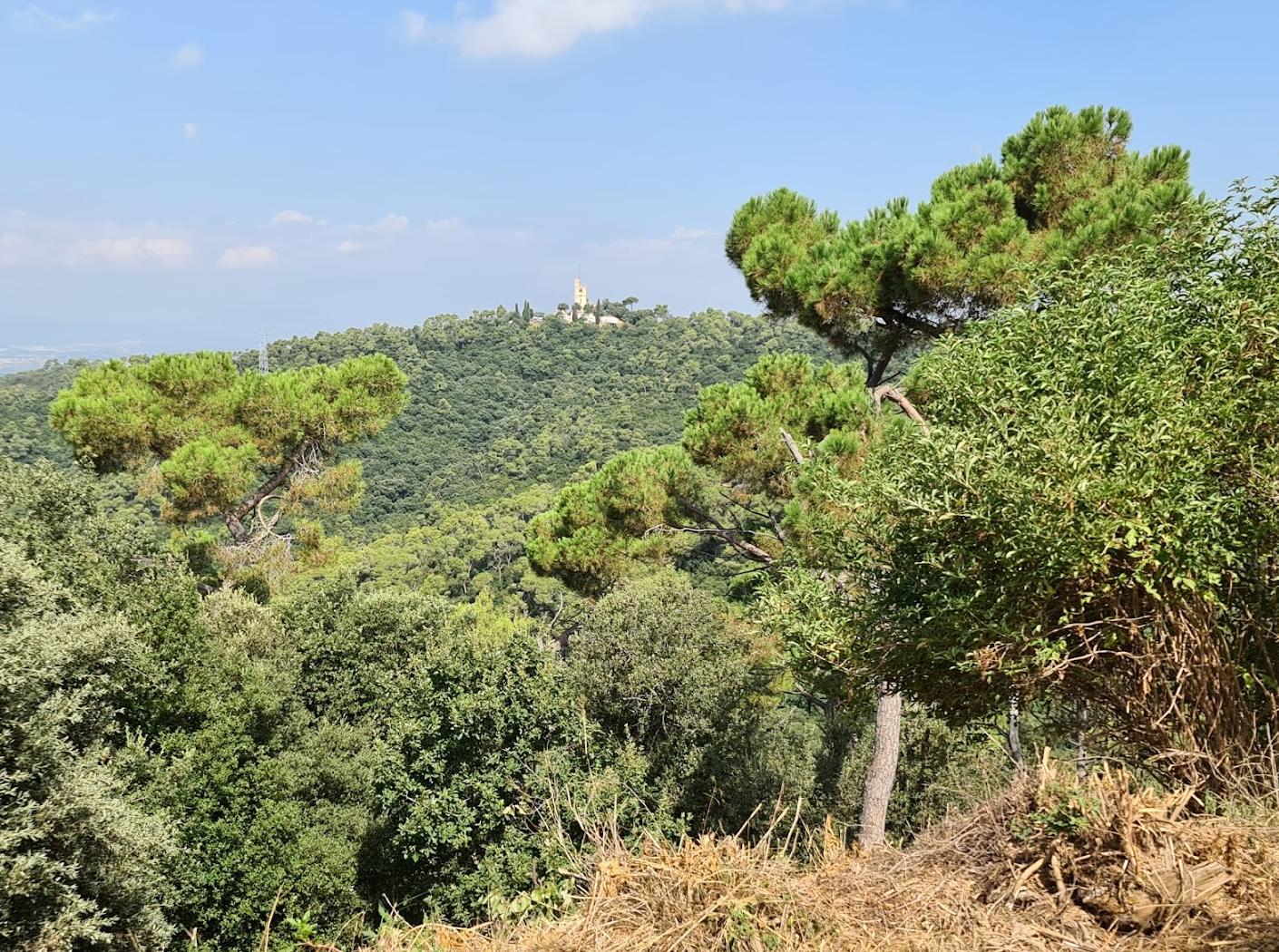 منطقه پانورامیک Tibidabo