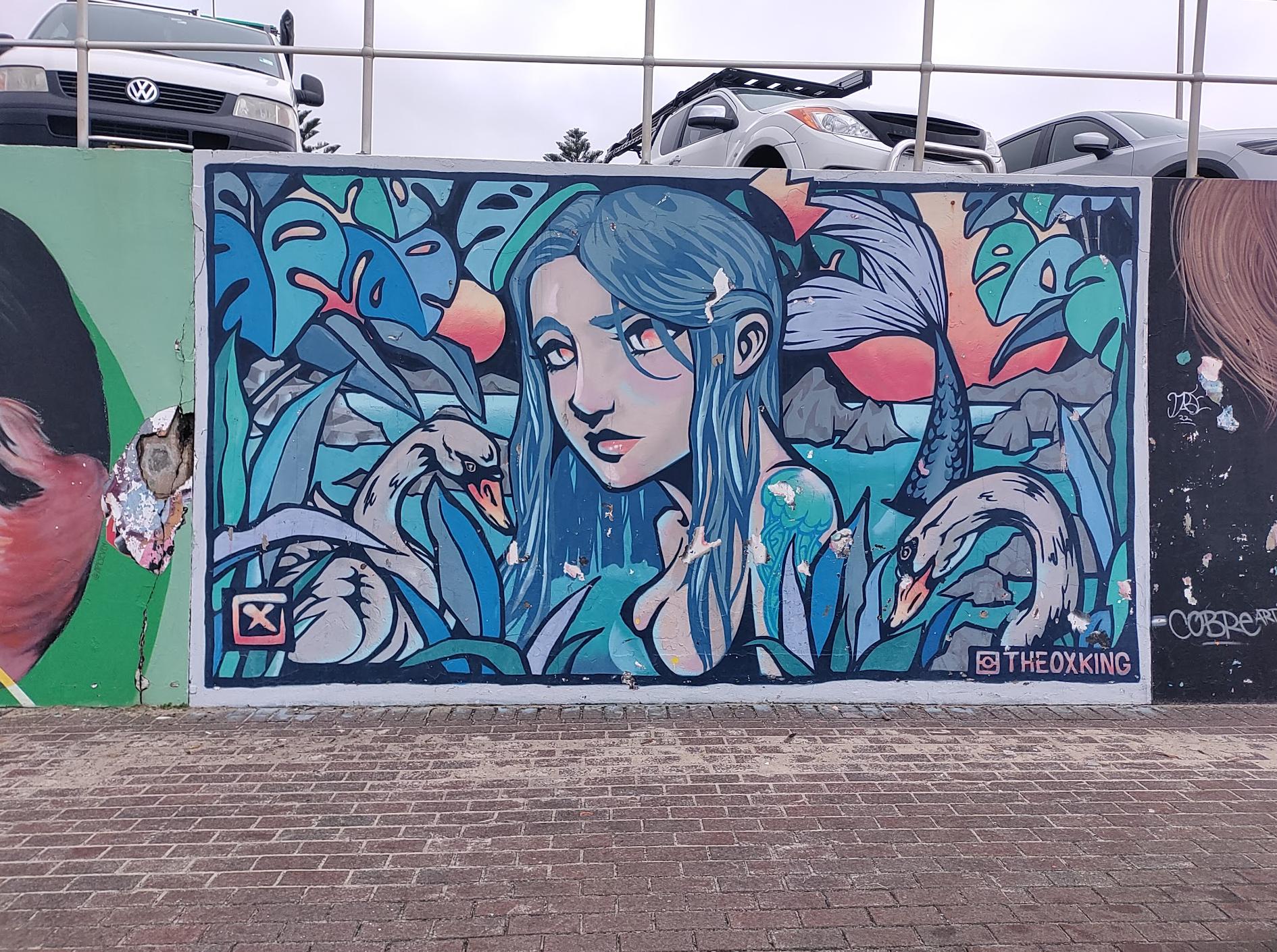 Bondi Murals