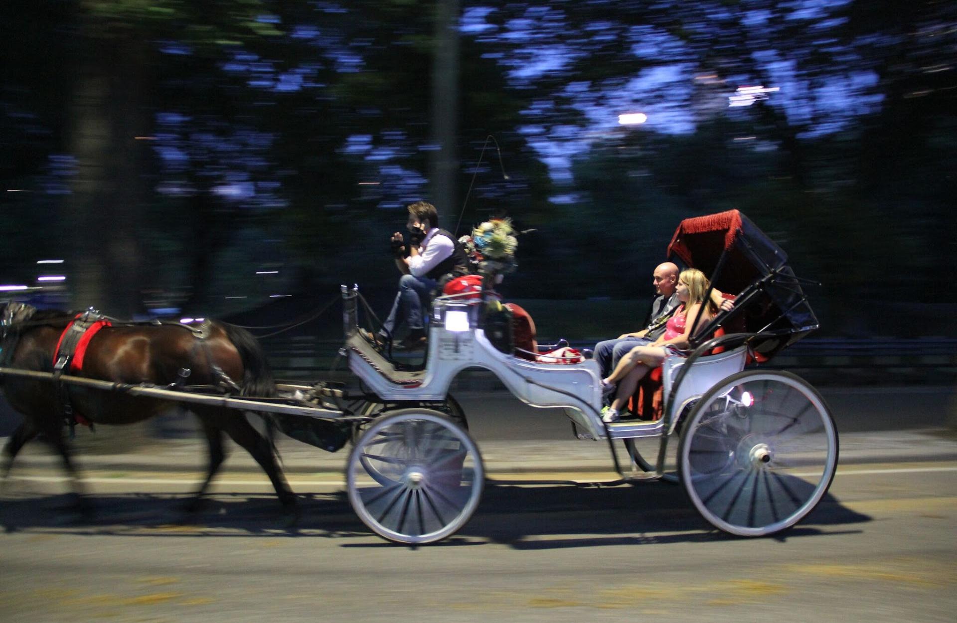 Central Park Horse Carriage Tours