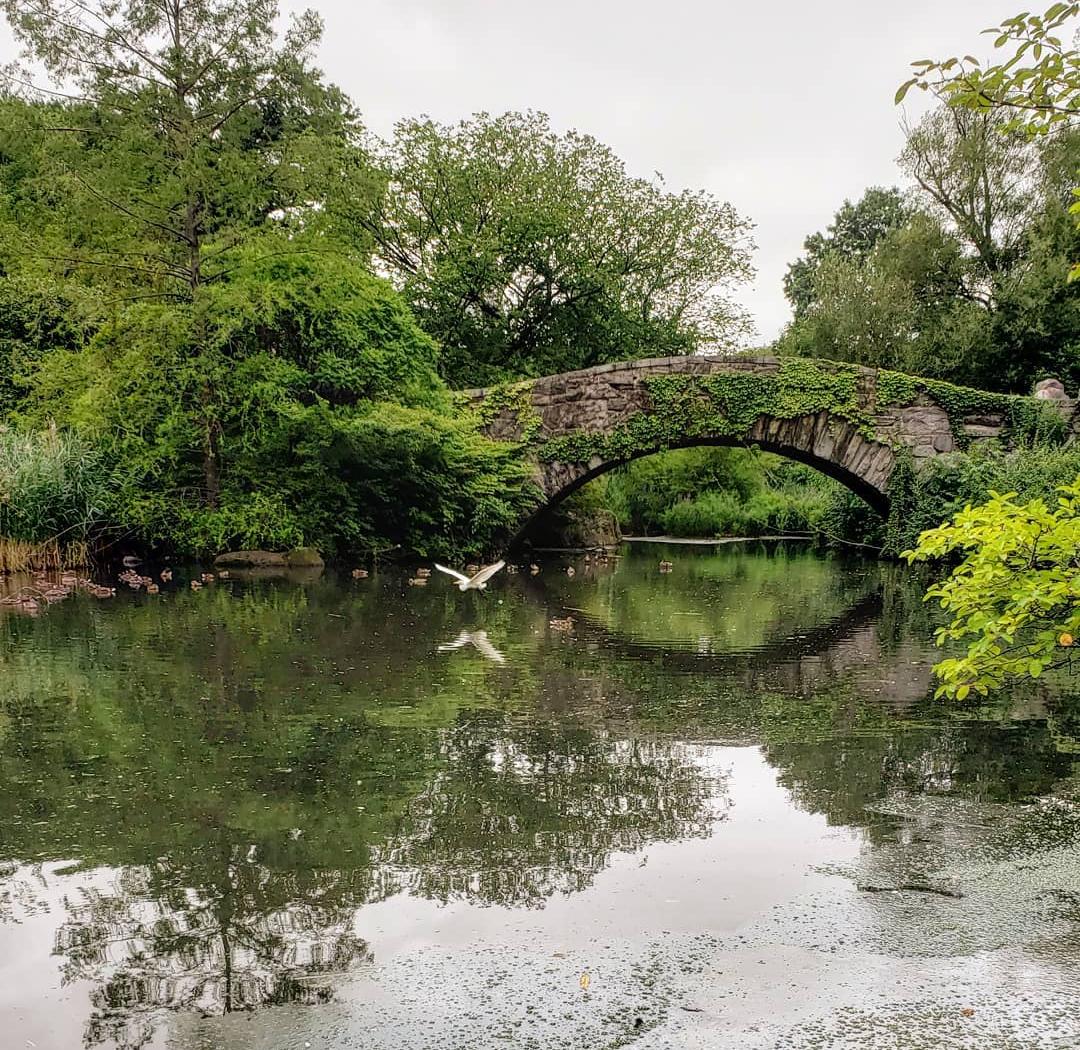 Visites à vélo Central Park
