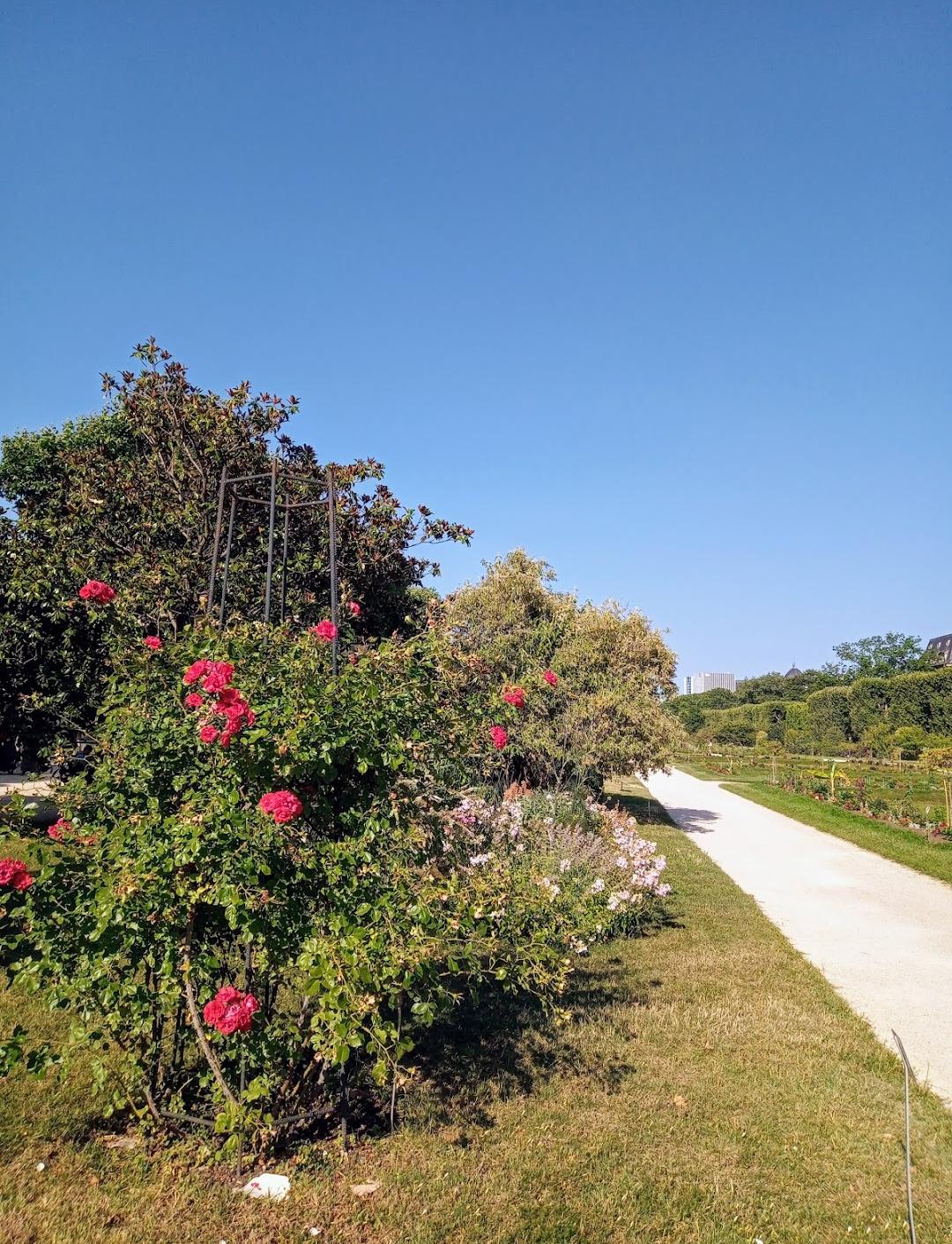Jardín de las Tullerías
