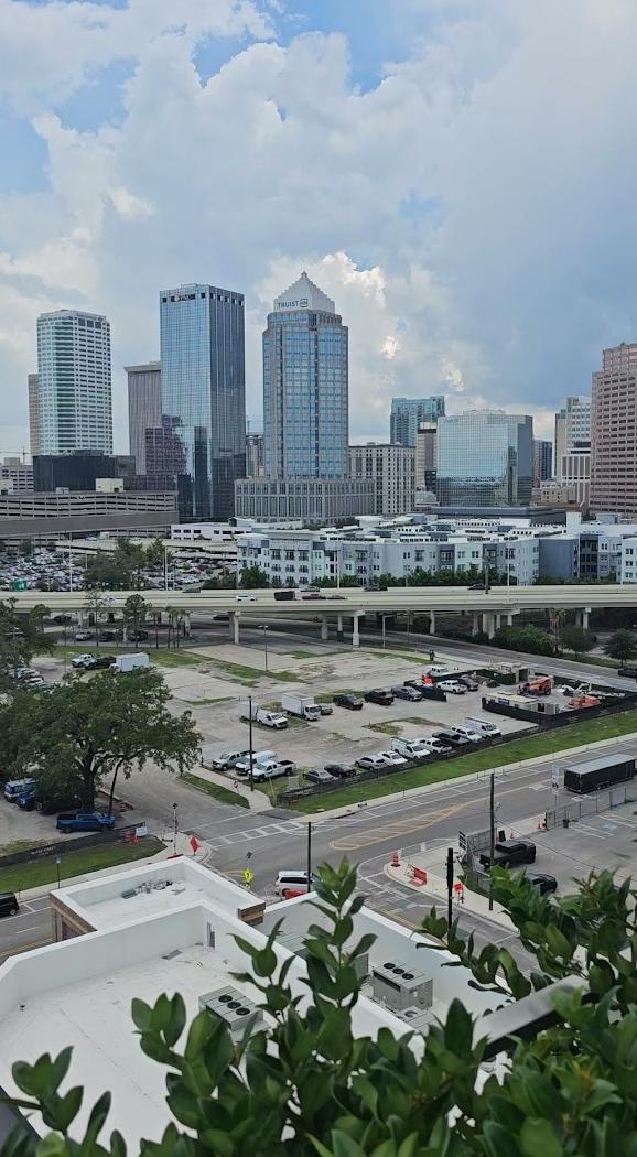 The Tampa EDITION