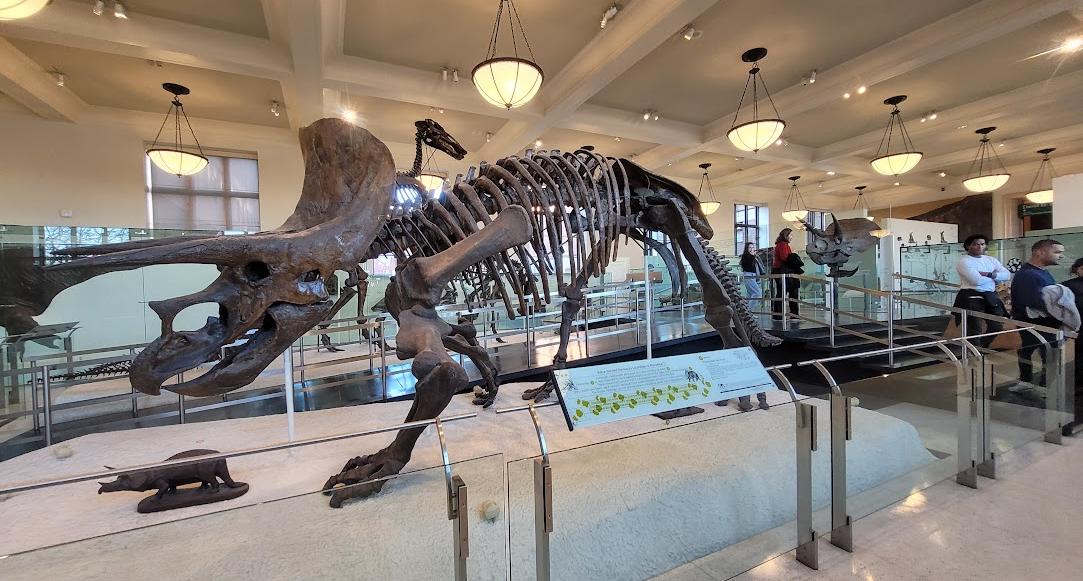 Museu Americano de História Natural