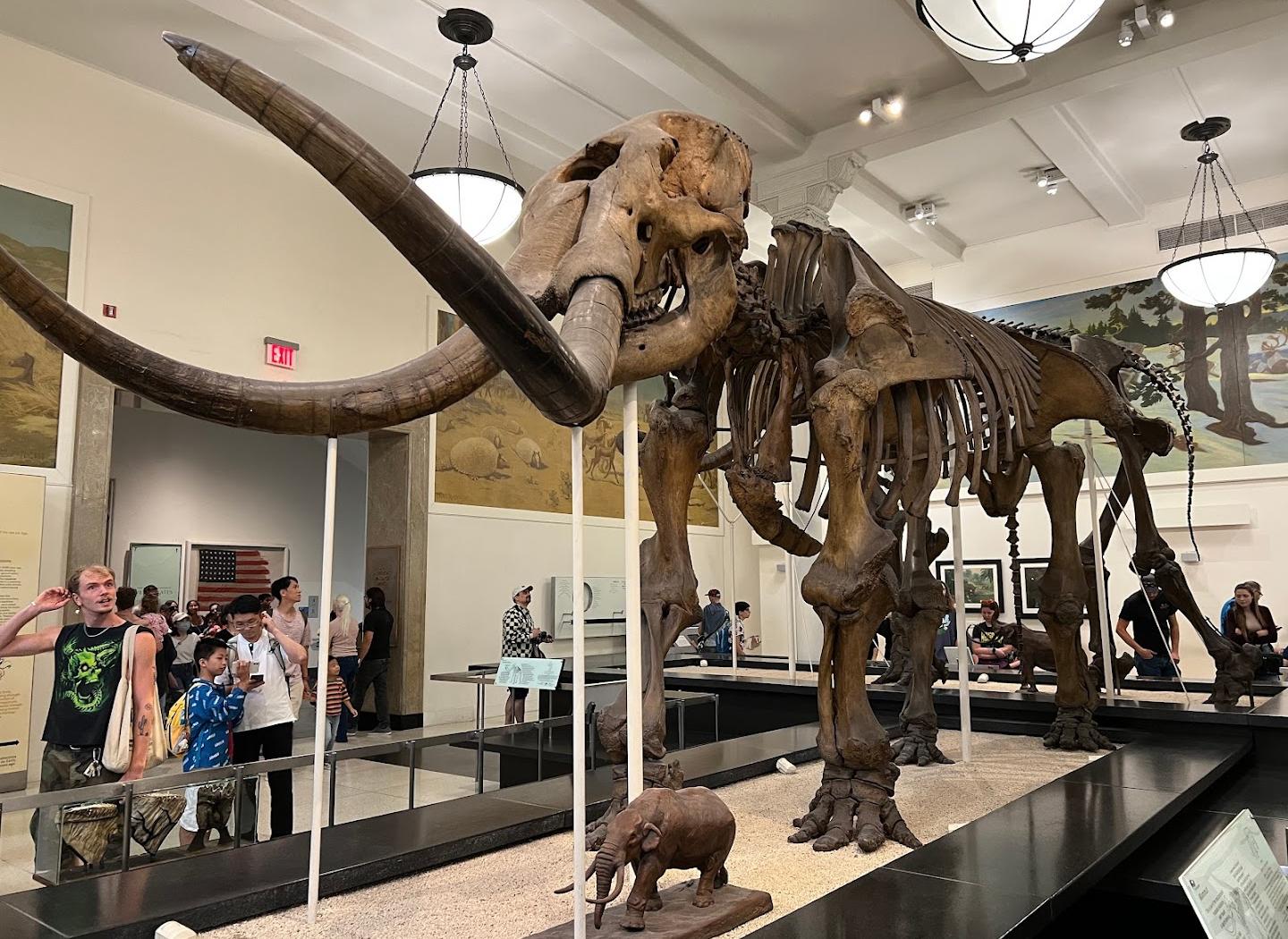 Museu Americano de História Natural