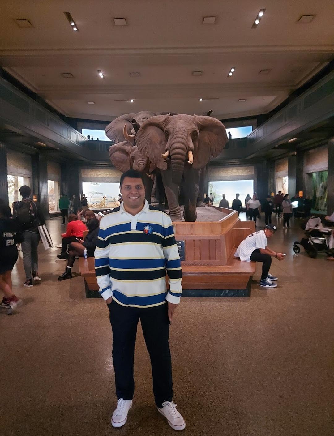 Museu Americano de História Natural