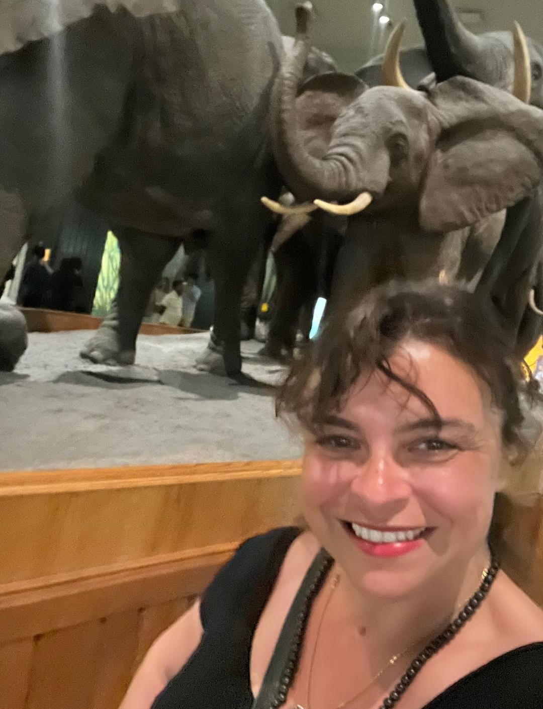 Museu Americano de História Natural