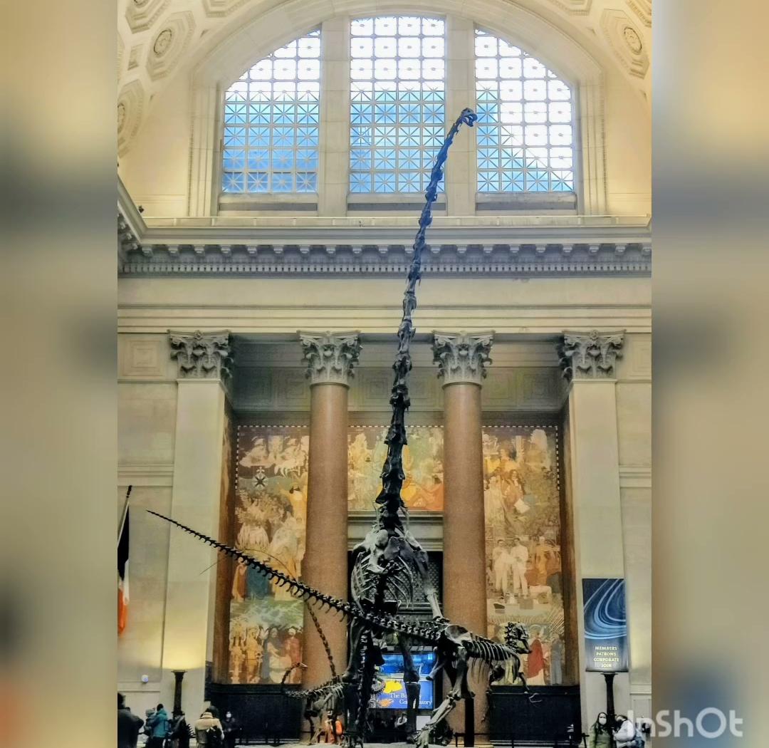Museu Americano de História Natural
