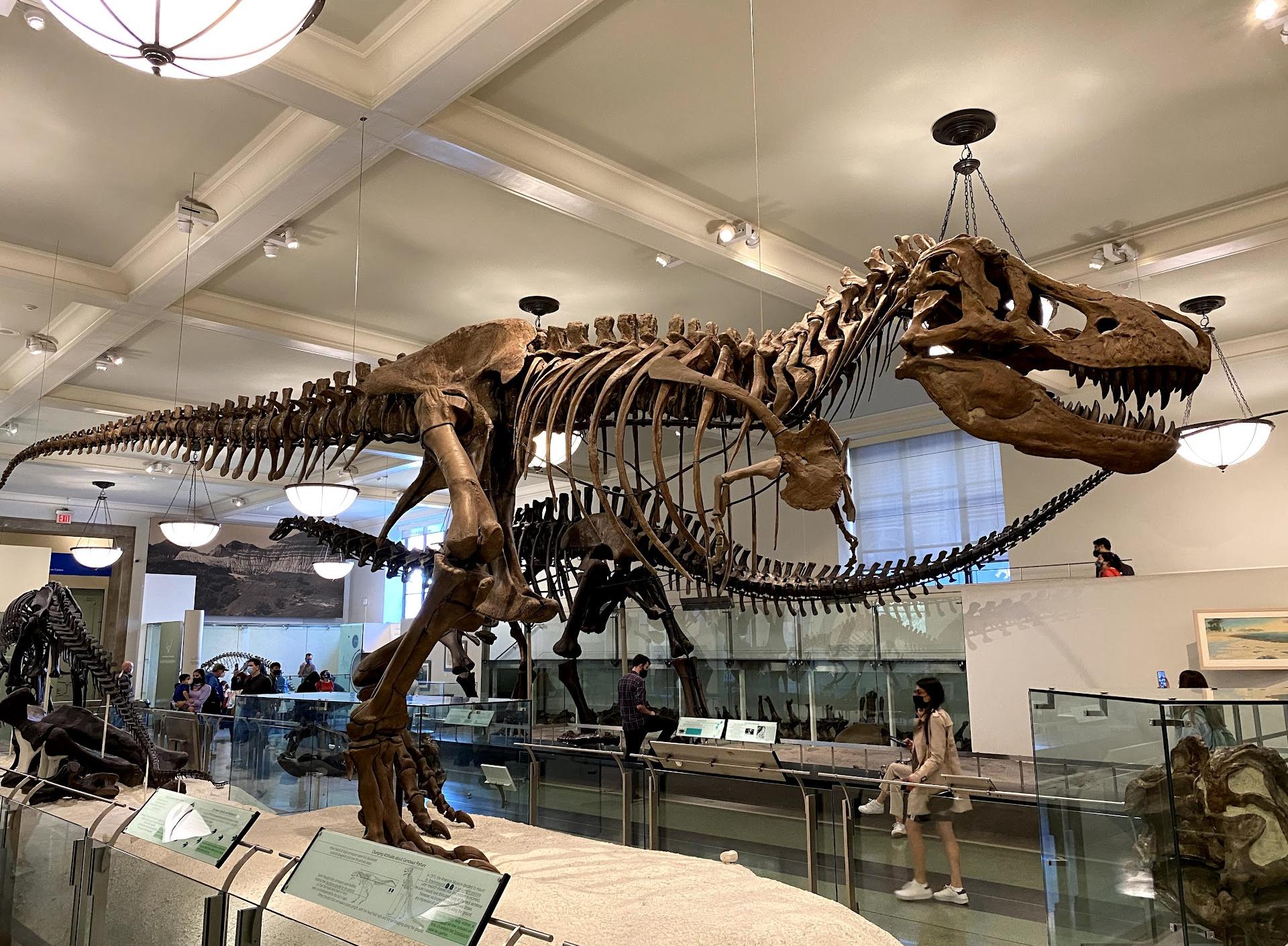 Museu Americano de História Natural