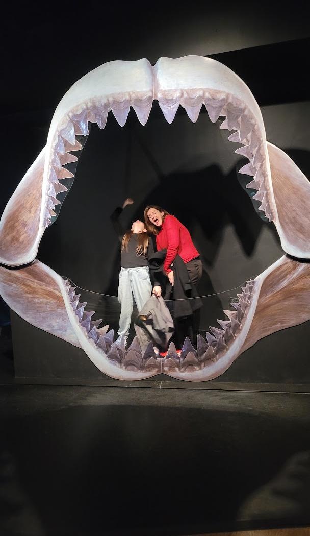 Museu Americano de História Natural