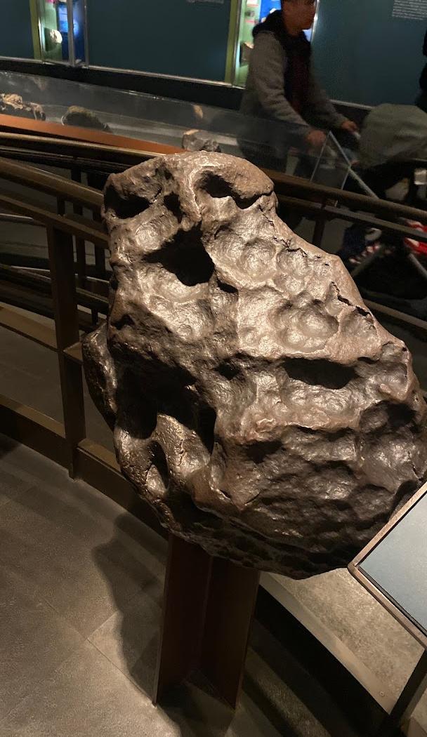 Museo Americano de Historia Natural