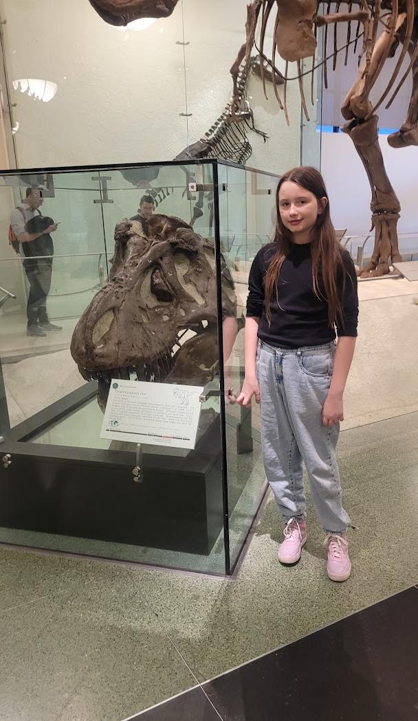 Museu Americano de História Natural