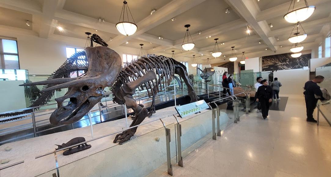 Museu Americano de História Natural