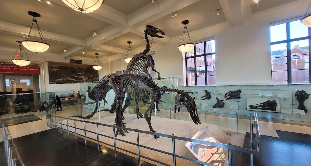 Museu Americano de História Natural