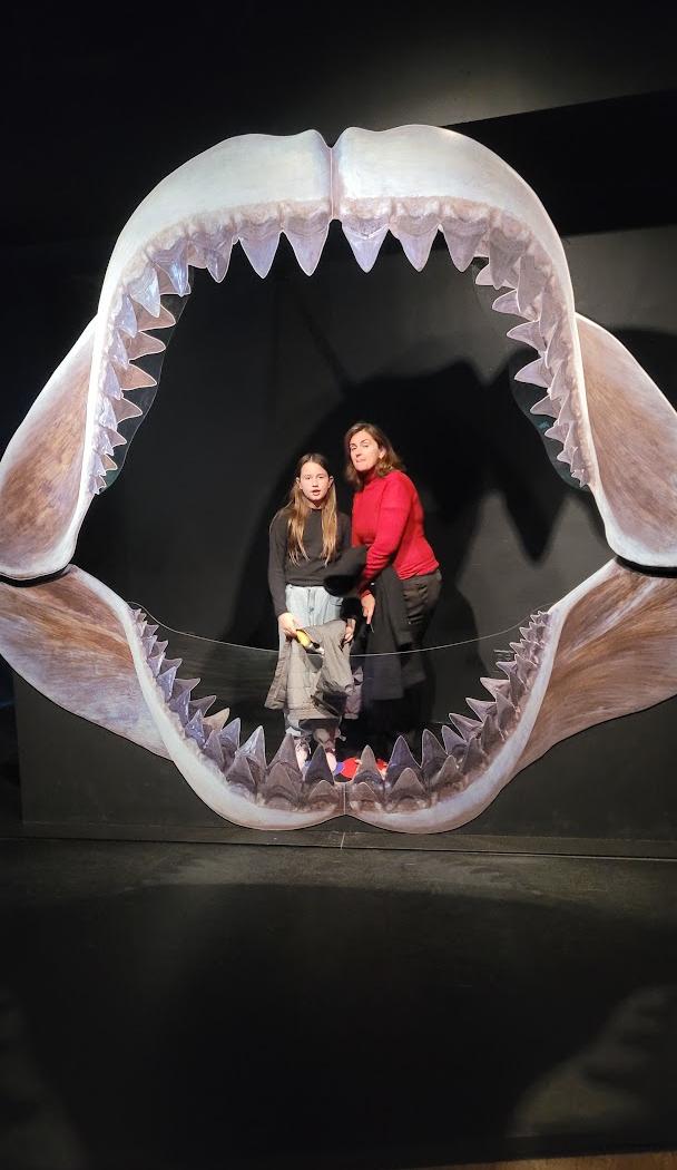 Museu Americano de História Natural