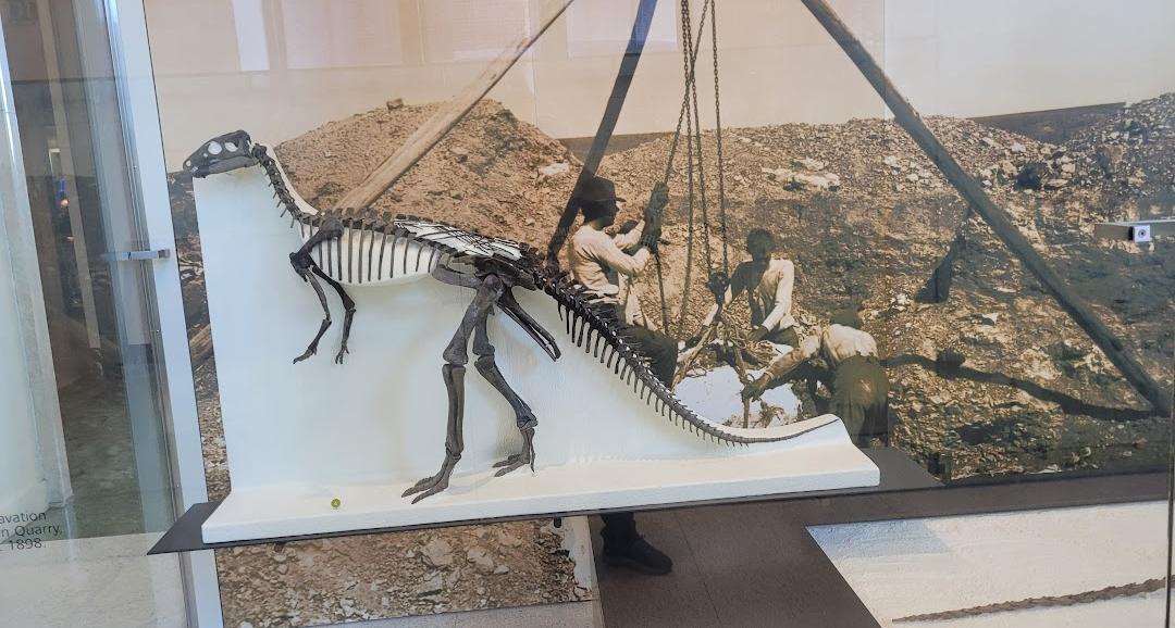 Museu Americano de História Natural