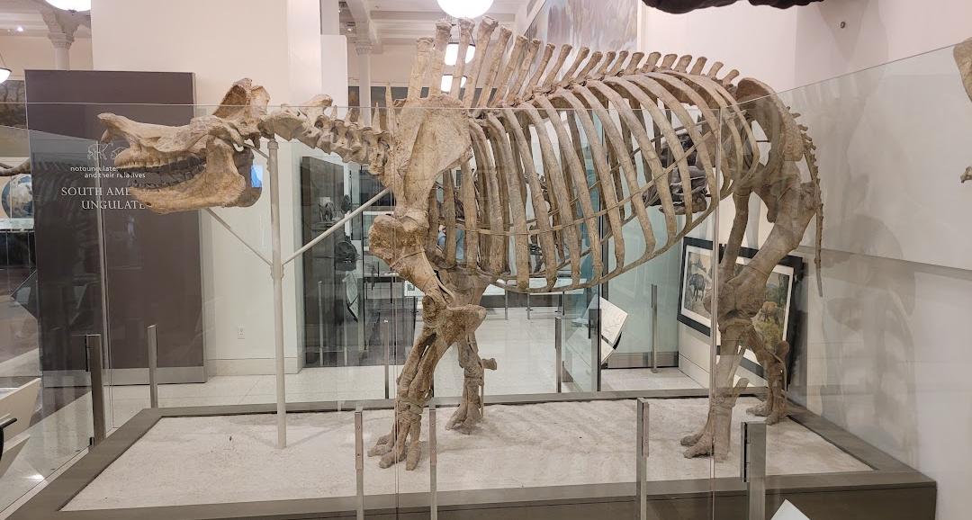 Museu Americano de História Natural