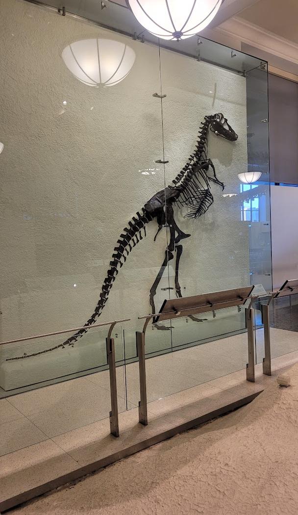 Museu Americano de História Natural