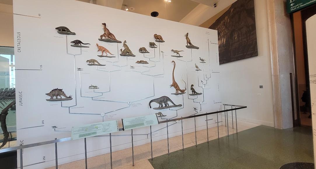Museu Americano de História Natural