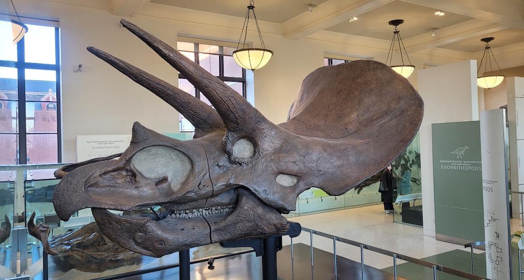Museu Americano de História Natural